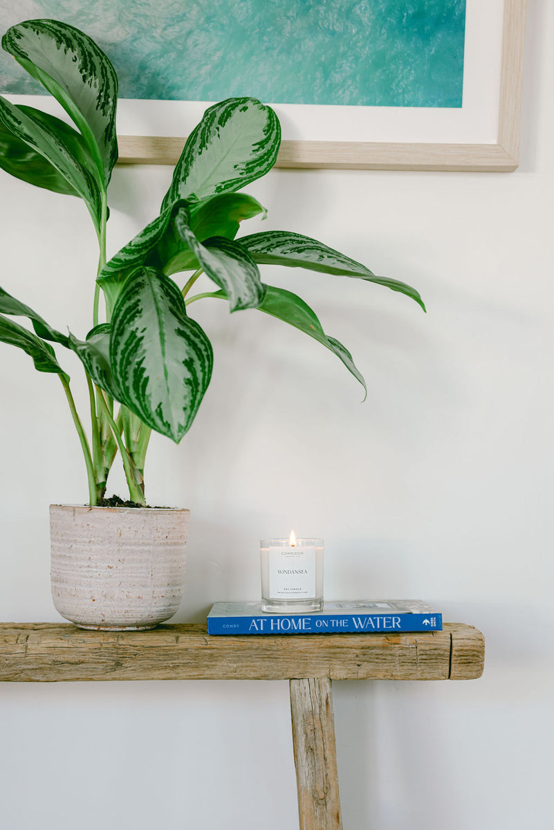 Windansea San Diego Candle | Corridor Candle Co.